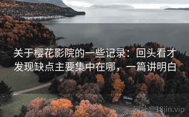 关于樱花影院的一些记录：回头看才发现缺点主要集中在哪，一篇讲明白