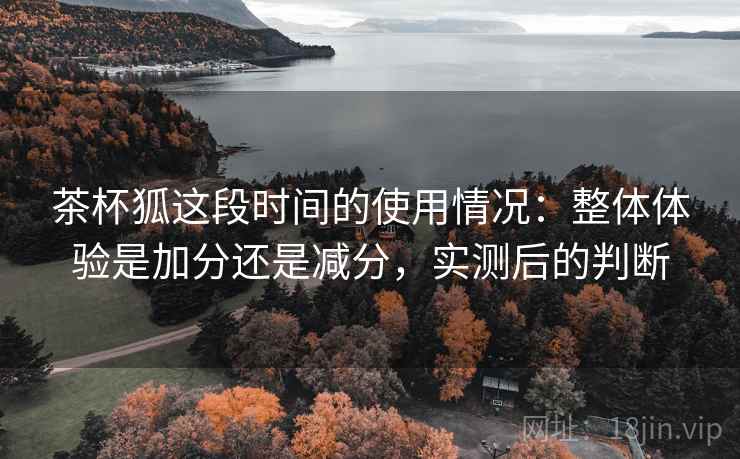 茶杯狐这段时间的使用情况：整体体验是加分还是减分，实测后的判断