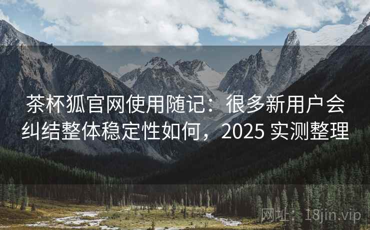 茶杯狐官网使用随记：很多新用户会纠结整体稳定性如何，2025 实测整理