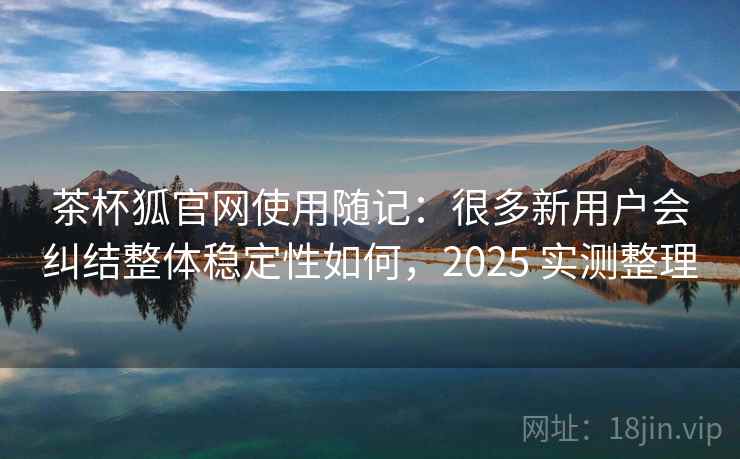 茶杯狐官网使用随记：很多新用户会纠结整体稳定性如何，2025 实测整理